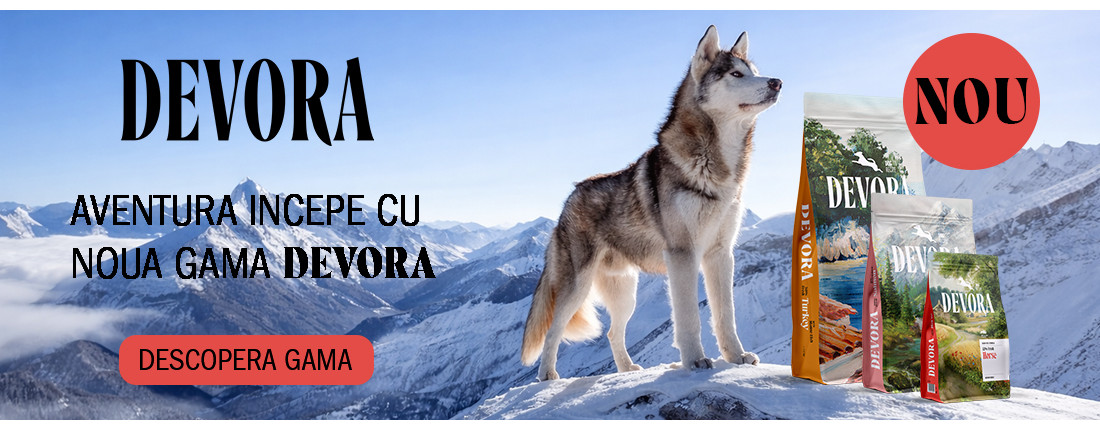 banner_devora_incepe_aventura