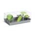 Cusca pentru hamsteri MPS Duffy 58x32x22 cm