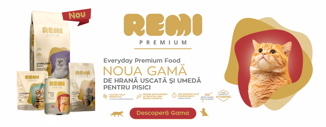 banner_remi_premium