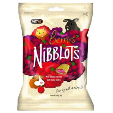 Snack pentru rozatoare cu fructe de padure Vetiq Nibblots 30 gr