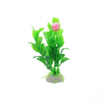 Planta decorativa pentru acvariu Enjoy Dracena Firebrand 10 cm