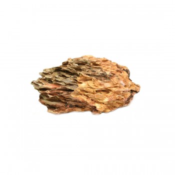 Decor Acvariu Roca Bamboo 1-2 Kg