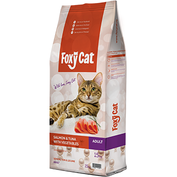 Hrana uscata pentru pisici Foxy Cat cu somon ton legume 15 kg