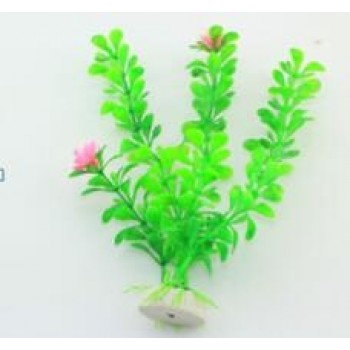 Planta decorativa pentru acvariu Enjoy Egeria 20cm